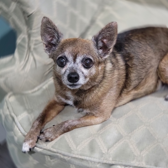 Meet your Posher, Melissa - Picture 6 of 11